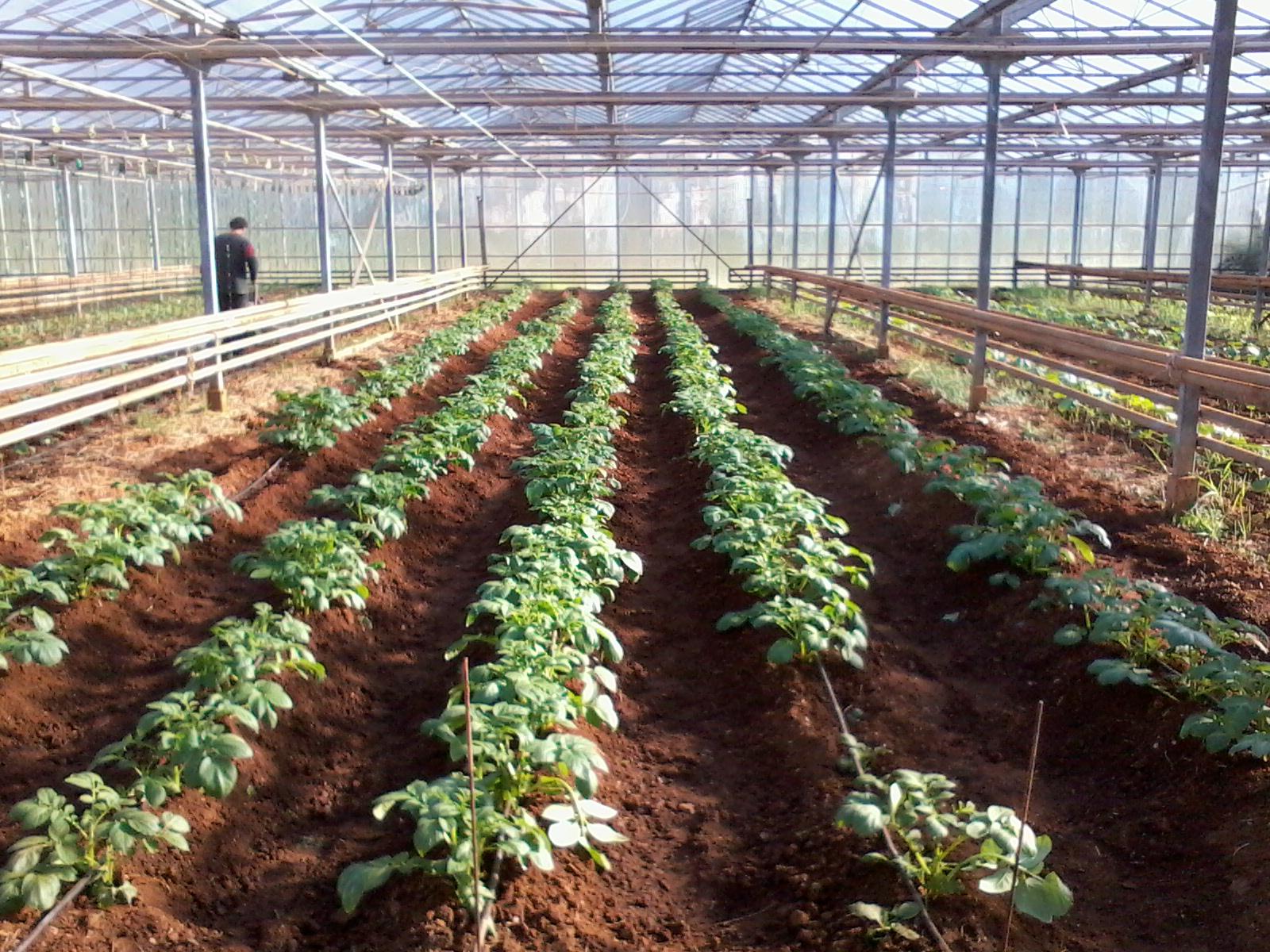 Πρόγραμμα επιμόρφωσης "Καλλιεργώ Βιολογικά"